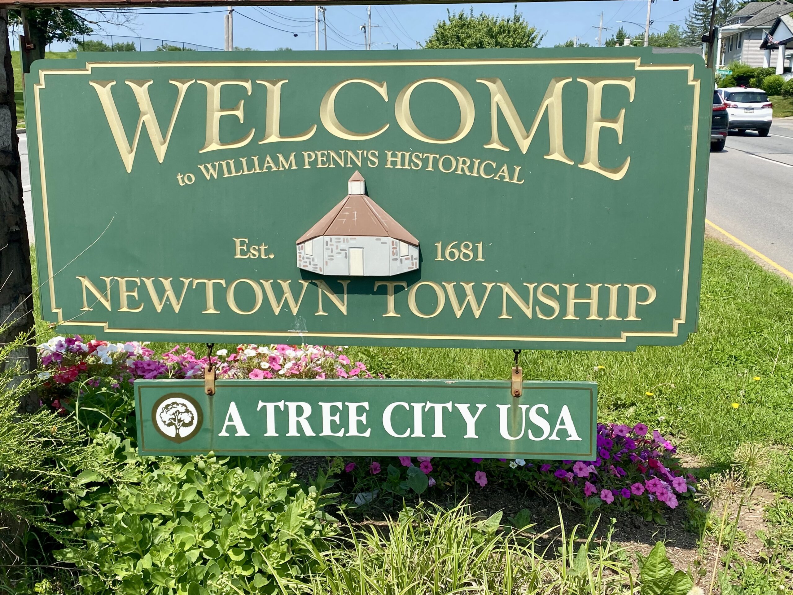 Newtown Square Tree Services by Mg tree